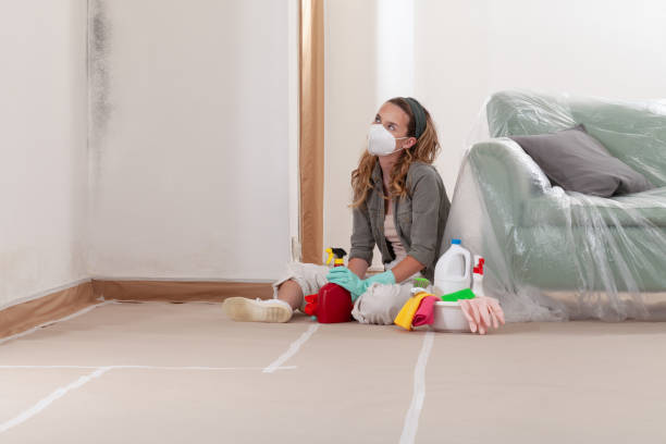 Reliable Basement Mold Remediation contractor in Lafayette, OR by Car Mold Remediation